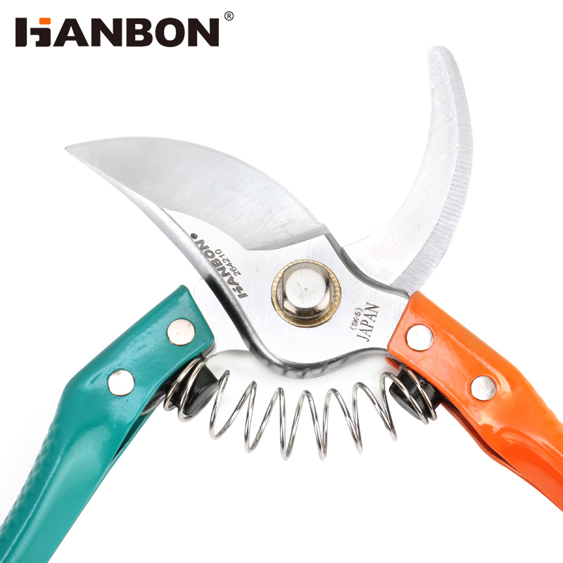 Pruning Shear with Green Handle