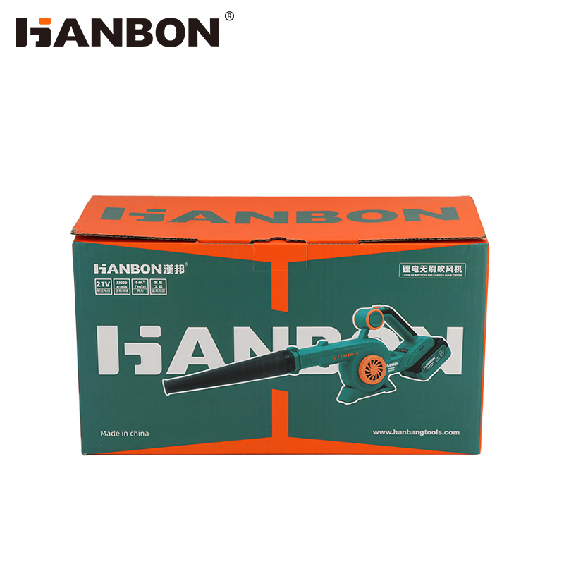 Lithium Battery Brushless Hair Dryer