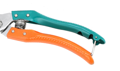 Pruning-shear-with-green-handle